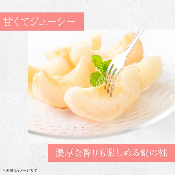 桃 白桃 先行予約 錦の桃 2kg 約5玉～9玉 もも モモ フルーツ 果物 デザート 2026年発送 鎌木果樹園 配送不可:離島 