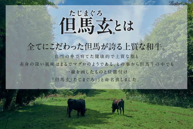 【但馬牛 究極の但馬牛  “但馬玄“ スライス500g 冷凍】「満天 青空レストラン」で紹介！但馬玄 たじまぐろ あっさり 脂 最高級 牛肉 国産 しゃぶしゃぶ すきやき 和牛 但馬ビーフ 但馬 大人気 人気 ふるさと納税 返礼品 おすすめ ランキング 香美町 村岡 上田畜産 TJM 01-04