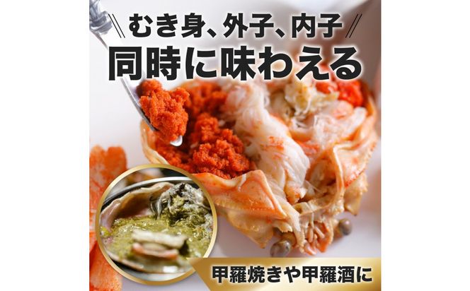 1273.甲羅盛り かに セコガニの甲羅盛 鳥取からお届け！ 3個入り 313726_BS088