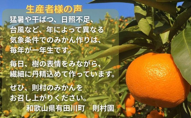 則村園産 有田みかん 10kg 温州みかん みかん 蜜柑 甘い 甘いみかん 有田 有田川町 和歌山 EX04