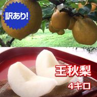 【訳あり】王秋梨 4kg ◇ ※2024年10月下旬～12月上旬頃に順次発送予定