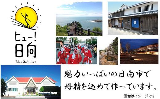 日本ハム 国産豚レバー 使用 レバニラ 炒め 180g×10個 [日本ハムマーケティング 宮崎県 日向市 452060941] 国産 簡単 しっとり レバー おかず ニッポンハム 中華 レトルト