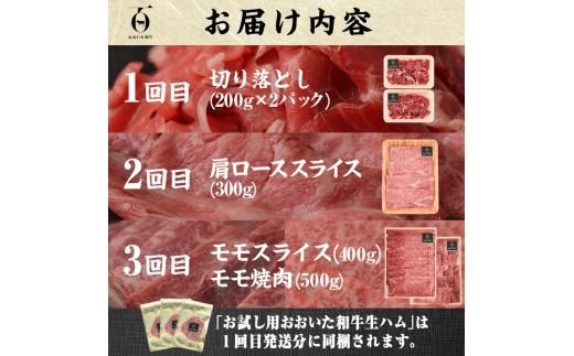 y啪szցES3(A)L㋍Ea(1.75kg)  Y a [X  n ē Ă Ԃ 啪 s yFW014zy~[gNXgz