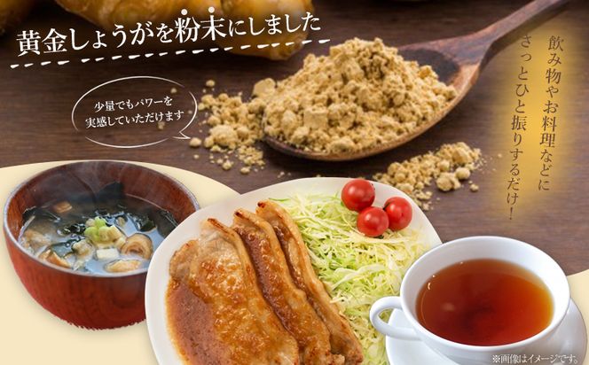 しょうが粉末 1kg 【7日程度で発送】 黄金 生姜 ジンジャー のし対応不可 数量限定 ジンジャーパウダー 生姜粉末 からだぽかぽか 冷え症対策 国産 特産品 しょうが ショウガ 高知県産 野菜 坂田信夫商店 高知県 香南市 常温 Xnb-0010