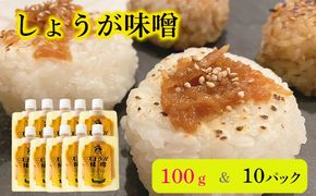 しょうが味噌（100g×10パック）