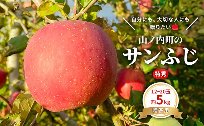りんご 先行予約 贈答用 サンふじ 特秀 5kg フルーツ 果物 ギフト 2026年 12月 発送