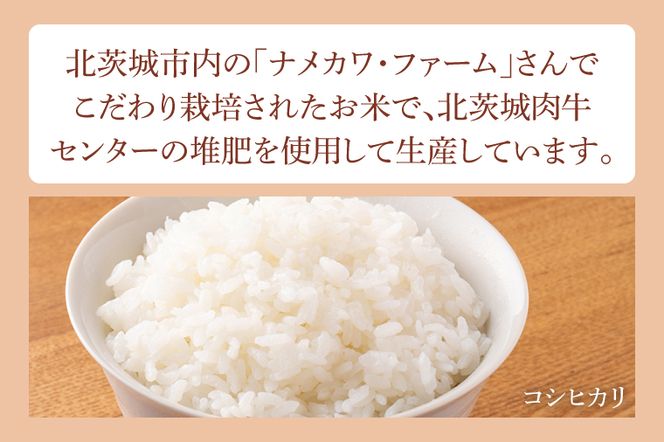 BX004　雨情の里牛ハンバーグ・うしごはんの具・コシヒカリのセット