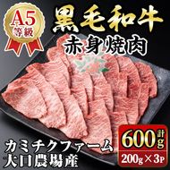 isa691 鹿児島県(カミチクファーム 大口農場)産 黒毛和牛赤身焼肉(計600g・200g×3パック) 黒毛和牛 赤身 焼肉 和牛 国産牛 高級肉 A5 ランク 雌牛 牛肉 焼肉用 BBQ バーベキュー アウトドア キャンプ 高タンパク 冷凍 小分け 【お肉の直売所 伊佐店】