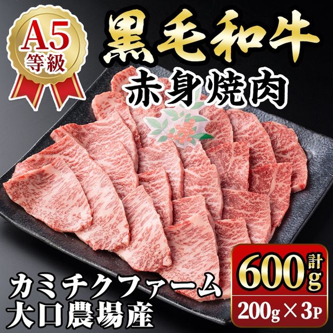 yɍszisa691 (J~`Nt@[ _)Y јaԐgē(v600gE200g×3pbN) јa Ԑg ē a Y  A5 N   ēp BBQ o[xL[ AEghA Lv ^pN Ⓚ  y̒ ɍXz