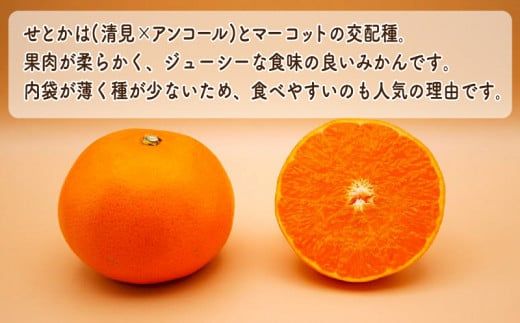 数量限定 先行予約 訳あり せとか 3kg みかん 家庭用 サイズミックス 14000円 高級 人気 ブランド プレミアム 柑橘 果物 フルーツ 期間限定 産地直送 国産 農家直送 わけあり 特産品 お取り寄せ mikan 蜜柑 ミカン オレンジ スマイルカット ビタミン 甘い おいしい 大トロ 不揃い 吉田農園 愛南町 愛媛県