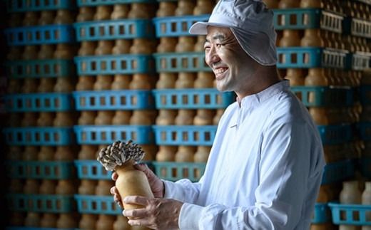 ぶなしめじ 300g × 4袋 300g × 6袋 選べる内容量 ［おぶせファーマーズ］ きのこ キノコ 野菜 鍋 炒め物 長野 信州