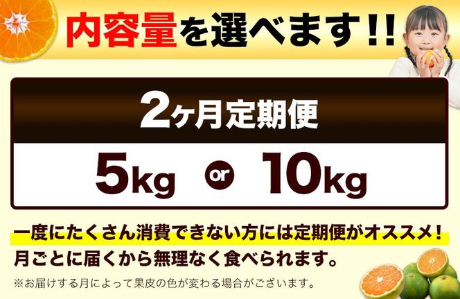 訳あり みかん 小玉みかん 定期便 くまもと小玉みかん 5kg (2.5kg×2箱) 10kg (10kg×1箱) 選べる回数 秋 旬 不揃い 傷 ご家庭用 SDGs 小玉 たっぷり 熊本県 産 S-3Sサイズ フルーツ 旬 柑橘 長洲町 温州みかん《10月-11月出荷》---fn_nkomikantei_12500_5kg_oct2---