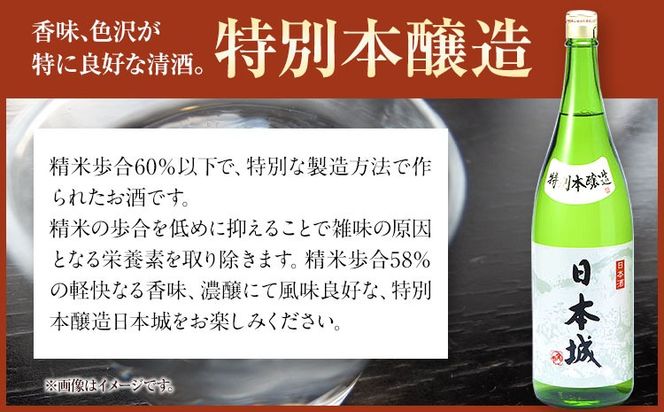 日本城 吟醸純米酒と特別本醸造 1.8L×2本 2種セット 厳選館《90日以内に出荷予定(土日祝除く)》 和歌山県 日高町 酒 吟醸純米酒 特別本醸造 飲み比べ 3.6L---wsh_genngth_90d_22_21000_2p---