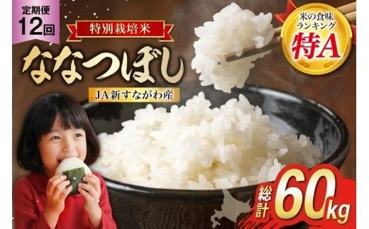 米 ななつぼし 令和8年 特栽米 12回 定期便 JA新すながわ産 特栽米ななつぼし 5kg×12回 総計60kg [ホクレン商事 北海道 砂川市 12260800] 令和8年産 定期 お米 コメ 白米 ごはん ご飯 国産 米 こめ kome おこめ