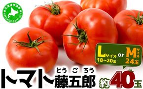 【2025年 発送 】 先行予約 北海道 伊達 トマト 藤五郎  約 40 玉 M ～ L サイズ とまと 新鮮 ジューシー 産地直送