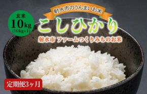 【3ヶ月定期便】【射水市】【射水の美味しいお米】ファームつくりみちのお米 作道米 R8年度産こしひかり10kg（10kg×1）【玄米】 | 米 こめ コメ こしひかり ブランド米 銘柄米 人気 ランキング 富山 富山米 北陸 北陸米 富山コシヒカリ 北陸コシヒカリ 玄米コシヒカリ 10キロ 10キロ米 10kg 10kg米