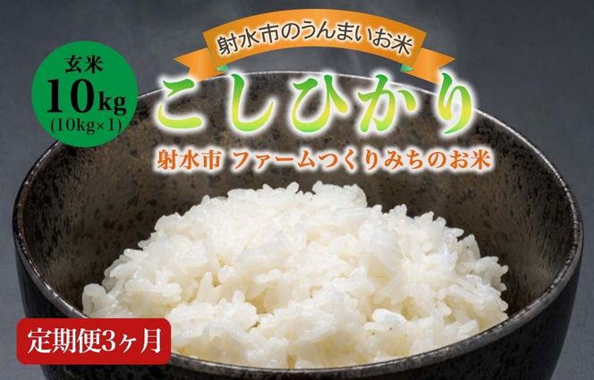 【3ヶ月定期便】【射水市】【射水の美味しいお米】ファームつくりみちのお米 作道米 R8年度産こしひかり10kg（10kg×1）【玄米】 | 米 こめ コメ こしひかり ブランド米 銘柄米 人気 ランキング 富山 富山米 北陸 北陸米 富山コシヒカリ 北陸コシヒカリ 玄米コシヒカリ 10キロ 10キロ米 10kg 10kg米