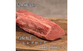 鳥取和牛　ヒレブロック1kg（500g×2P） 313726_DC020
