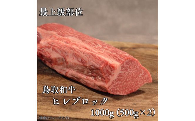 鳥取和牛　ヒレブロック1kg（500g×2P） 313726_DC020