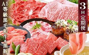定期便(3回配送)鹿児島産A5等級黒毛和牛&黒豚 EE-6014 【1471286】
