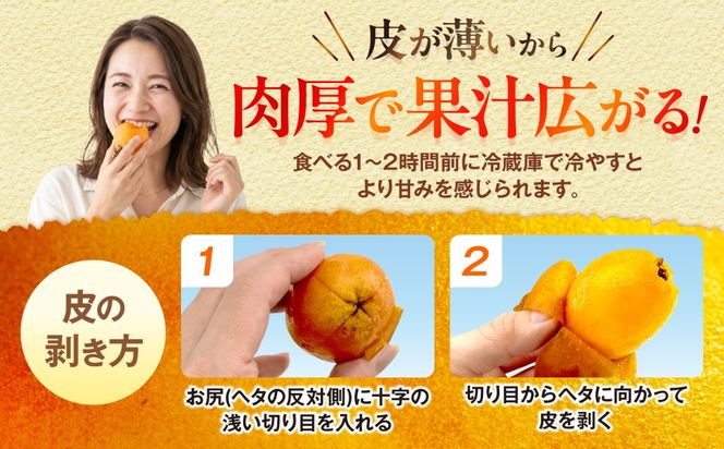 【2027年発送・先行受付】 【化粧箱入り】 沖縄産びわ (500g・9玉入り) フルーツ 果物 ギフト お取り寄せ 沖縄産 沖縄市 / ちゃんぷる〜市場[BCAA008]