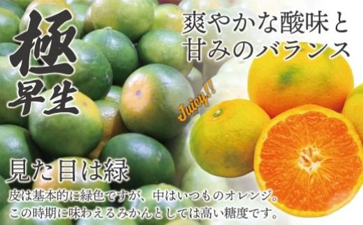 福岡県ブランド みかん 「早味かん」 5kg 【2026年9月下旬～10月下旬発送予定】 蜜柑 ミカン 柑橘 果物 フルーツ 九州 福岡県 香春町 冷蔵