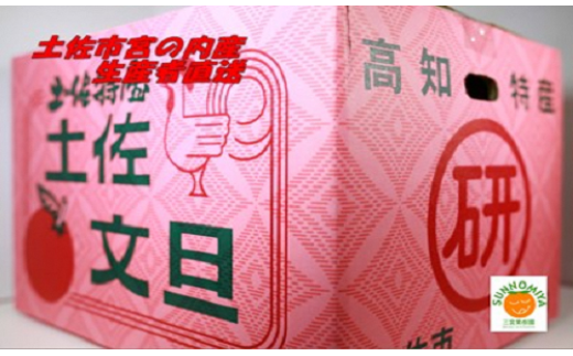 【先行予約】三宮果樹園の土佐文旦 家庭用5kg〈2027年2月14日～2027年3月15日発送〉ぶんたん ブンタン フルーツ 柑橘 みかん 果物 くだもの 柑橘類 デザート ご自宅用 ご家庭用 自分用 お取り寄せ 国産 ふるさと納税 高知県 土佐市【三宮果樹園】[BQAP002] 