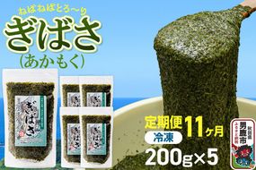 【定期便11ヶ月】ぎばさ(あかもく) 200g×5個セット 海藻 男鹿市 秋田県 [ぎばさ あかもく 海藻 磯の香り 強い粘り フコイダン フコキサンチン 高栄養価 食物繊維 シャキシャキ食感 秋田県 男鹿市]|23_ogn-240511