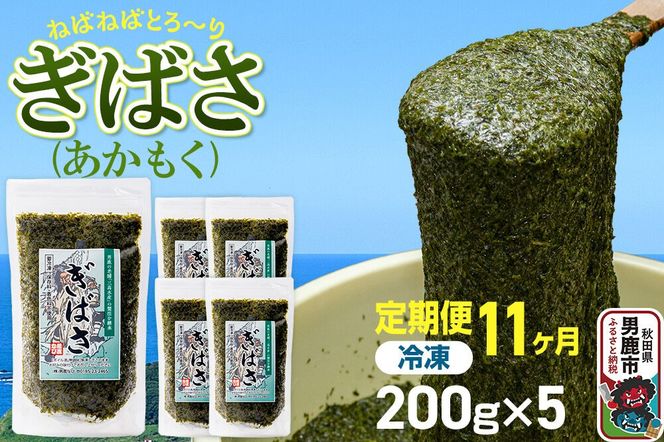 【定期便11ヶ月】ぎばさ(あかもく) 200g×5個セット 海藻 男鹿市 秋田県 [ぎばさ あかもく 海藻 磯の香り 強い粘り フコイダン フコキサンチン 高栄養価 食物繊維 シャキシャキ食感 秋田県 男鹿市]|23_ogn-240511