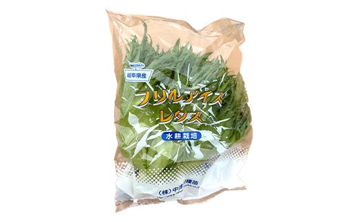 採れたて新鮮 水耕野菜のサラダセット 5種 フリルアイスレタス・グリーンリーフレタス・サラダ水菜・クレソン・ホワイトセロリ 野菜 新鮮 サラダ F4N-3097