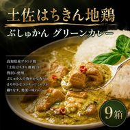 土佐はちきん地鶏 グリーンカレー 9箱 180g チキンカレー おすすめ curry かれー かれーらいす 惣菜 おかず 夕食 詰め合わせ セット レトルトカレー レトルト食品 ご当地グルメ 国産 地域限定 カレー 人気 カレー 辛口 カレーセット 高知県 室戸市
