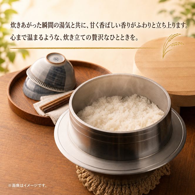 米 静岡きぬむすめ 20kg（5kg×4） お米 白米 コメ 精米 きぬむすめ 静岡県産 袋井市 静岡県