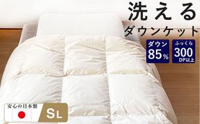 洗える 羽毛 肌掛け布団 1枚 日本製 シングル ダックダウン85％ 夏用 322032_BD037