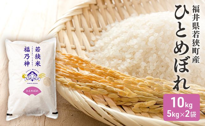 米 令和7年産 ひとめぼれ 10kg (5kg×2)  白米 精米 単一原料米 一等米 ブランド米