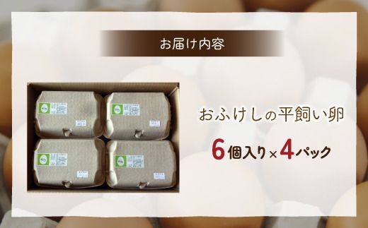 北海道 豊浦 おふけしの平飼い卵 24個 TYUZ001