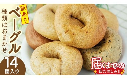 【 訳あり 】 おまかせ ベーグル 14個セット ロス わけあり ワケアリ 訳アリ フードロス 朝食 モーニング スイーツ 全粒粉 パン 詰め合わせ 食べ比べ 冷凍 