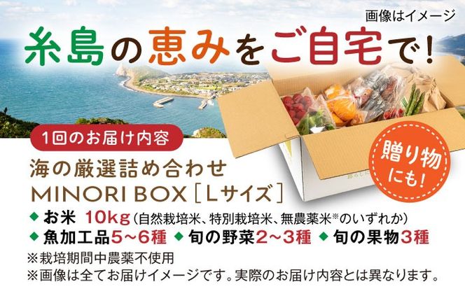 【全6回定期便】糸島産 魚 米 野菜 果物 厳選詰め合わせ MINORI BOX Lサイズ 糸島市 / emma.Inc / 米 魚 野菜 果物 詰め合わせ[AOP029]