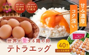 【F8-004】テトラエッグ(40個/月)【6ヵ月定期便】