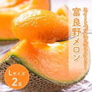 【2026年夏発送】北海道 富良野 メロン Lサイズ 2玉 計2.6kg以上 フルーツ 果物