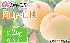 桃 2026年 先行予約 白桃 2kg 6～8玉 もも モモ 岡山 国産 フルーツ 果物 ギフト 桃茂実苑 果肉 