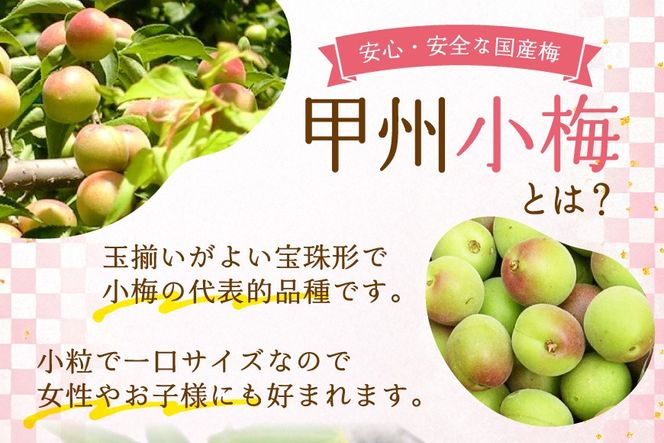 梅干し はちみつ風味 干し小梅 75g×2 [山梨農産食品 山梨県 韮崎市 20743523] 国産 梅干 うめぼし 梅 小粒 小梅 はちみつ 蜂蜜 漬物 つけもの