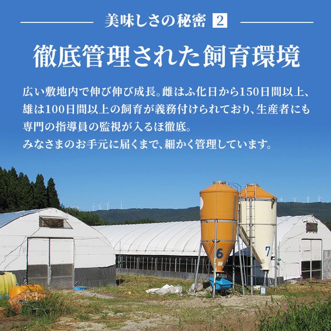 秋田県産 比内 地鶏 定期便 900g(150g×6袋×6ヶ月 計5.4kg 小分け もも ムネ 味付け無し） 贅沢 比内地鶏 鶏肉 鶏もも肉 鶏ムネ肉 鳥肉 鶏胸肉 冷凍 