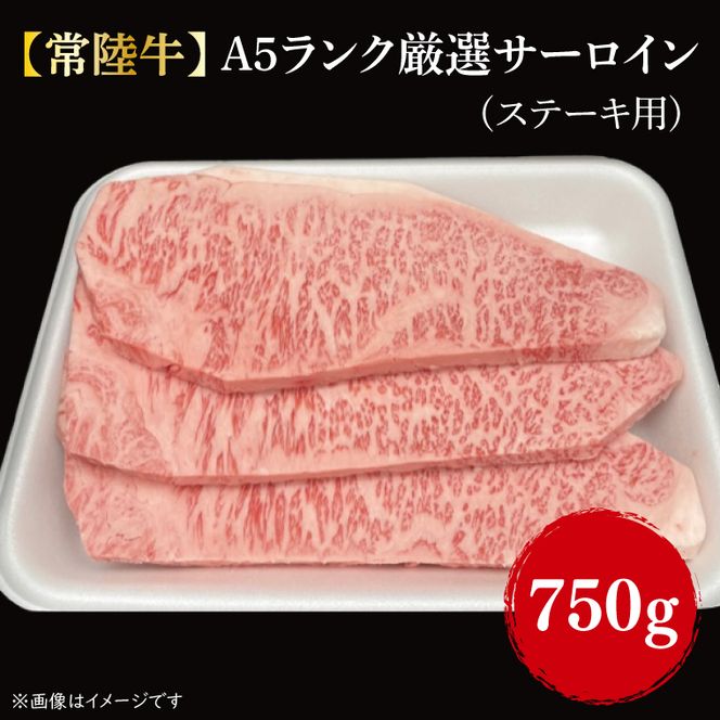 【常陸牛】Ａ５ランク厳選サーロイン(ステーキ用)250g×3｜肉 お肉 肉類 サーロイン サーロインステーキ ステーキ バーベキュー BBQ キャンプ 常陸牛 厳選 A5 贅沢 茨城県 行方市(FL-11)