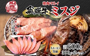  焼肉マルイ 飛騨牛 ミスジ 約600g （300g×2） 和牛 霜降り 赤身 国産 国産牛 牛 牛肉 冷蔵 冷蔵保存 日本産 ブランド和牛 A5 A4 お取り寄せグルメ 送料無料 岐阜県 安八町
