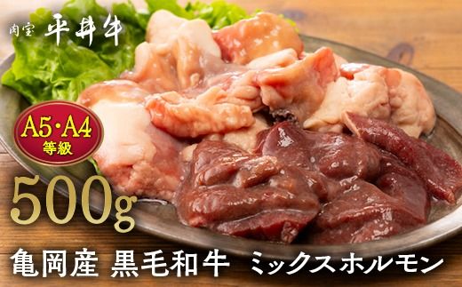 【7営業日以内発送】平井牛 ミックスホルモン 500g＜京都丹波牧場＞亀岡産黒毛和牛 自家産 ｜ レバー・ハツ・小腸・大腸・赤セン・センマイ・ギアラ 希少 A5・A4 和牛 国産 ホルモン 冷凍 ふるさと納税 送料無料