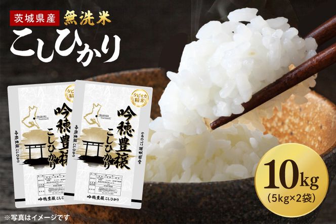 【選べる内容量】 ＜令和7年産＞ 無洗米 こしひかり 10kg タピオカ精米 コシヒカリ こしひかり 米 ごはん コメ お米 白米 精米 精米済み 国産 茨城県産