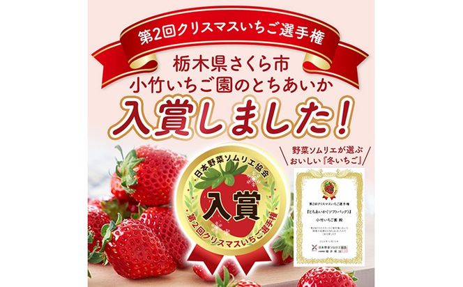 満足3種食べ比べセット（ミルキーベリー、スカイベリー、とちあいか）400g×2パック 800g｜先行予約 数量限定 栃木県 果物 くだもの フルーツ 苺 イチゴ ※2027年1月～発送