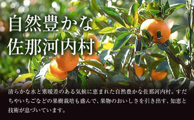 【CF】＜先行予約＞ 蔵出し熟成みかん『極』2箱 《2月中旬-2月末頃出荷予定》みかん ミカン 蜜柑 mikan 貯蔵 柑橘 佐那河内 さなごうち 徳島県 箱入り 化粧箱 S M L フルーツ 果物 くだもの 贈答 進物 ---sanagouchi_lcl_22_2hk---