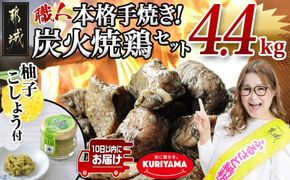 本格手焼き!炭火焼鶏4.4kg(ゆずこしょう付)≪みやこんじょ特急便≫_AC-1411-Q_ (都城市) 鶏肉 小分け 炭火焼き おつまみ 宮崎 冷凍 柚子胡椒  栗山ノーサン ギャル曽根さんおすすめの鶏肉返礼品(炭火焼) 