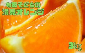 有田育ちの完熟清見オレンジ(ご家庭用)　3kg+200g(補償分)【2027年2月下旬～5月上旬頃に順次発送予定】【ard016C】